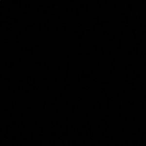 Meet your Posher, Elaina